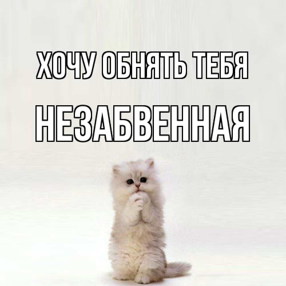 Открытка на каждый день с именем, незабвенная Хочу обнять тебя открытки с креативными подписями Прикольная открытка с пожеланием онлайн скачать бесплатно 