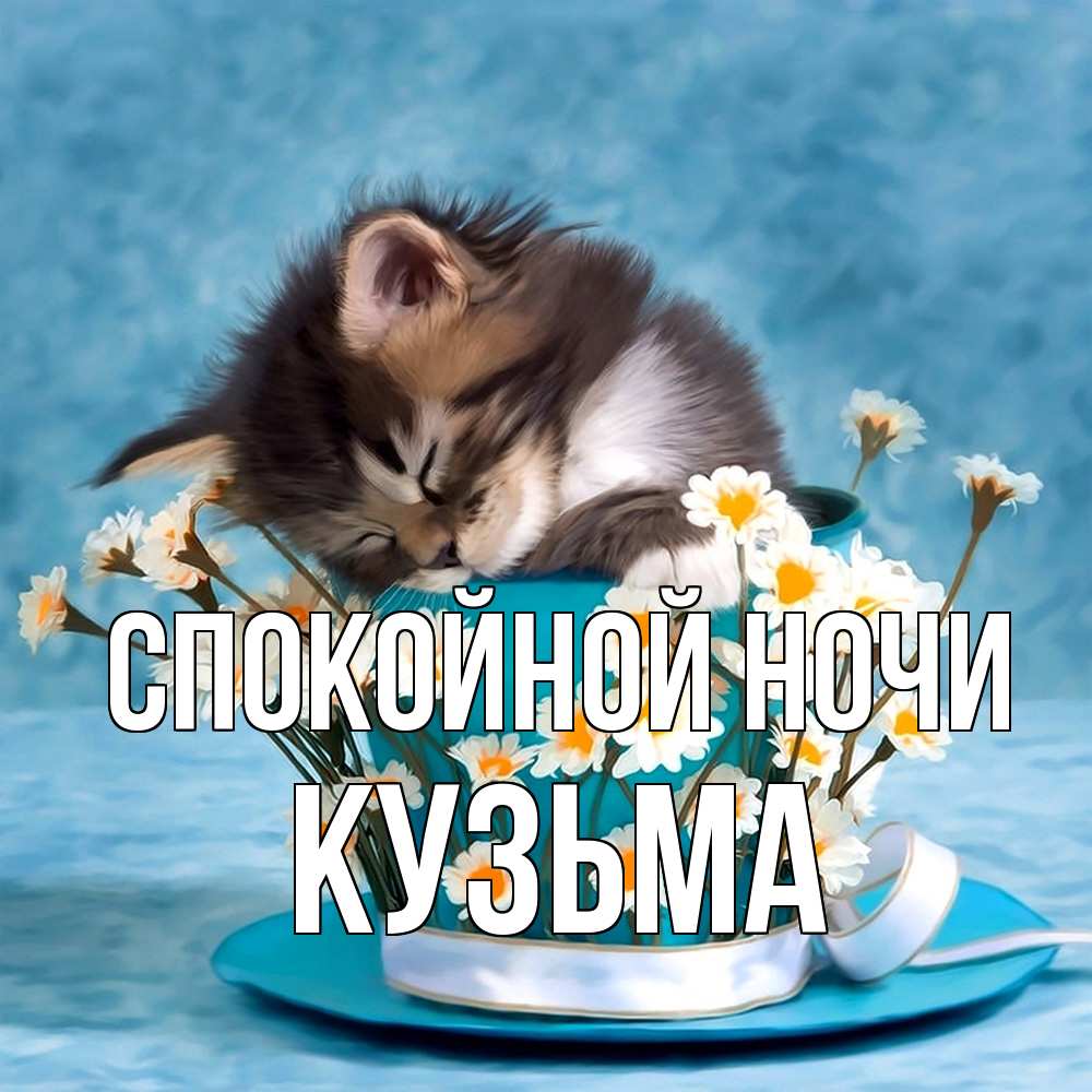Открытка на каждый день с именем, Кузьма Спокойной ночи котенок спит в кружке с блюдцем Прикольная открытка с пожеланием онлайн скачать бесплатно 