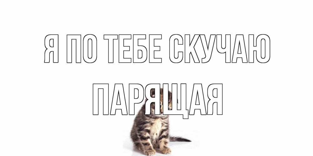 Открытка на каждый день с именем, Паpящая Я по тебе скучаю кот Прикольная открытка с пожеланием онлайн скачать бесплатно 