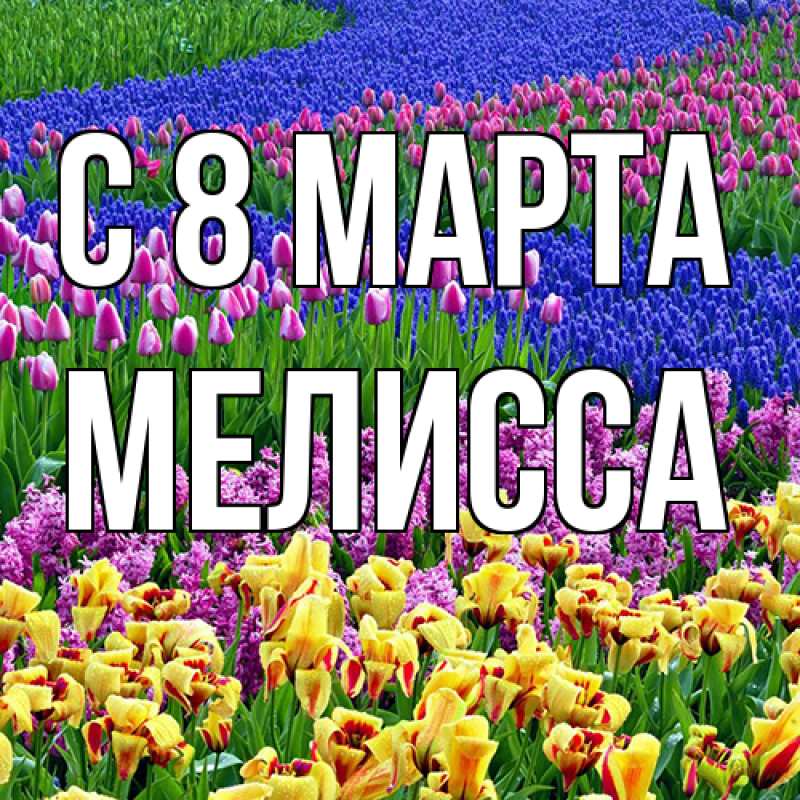 Картинка C 8 МАРТА, Мелисса