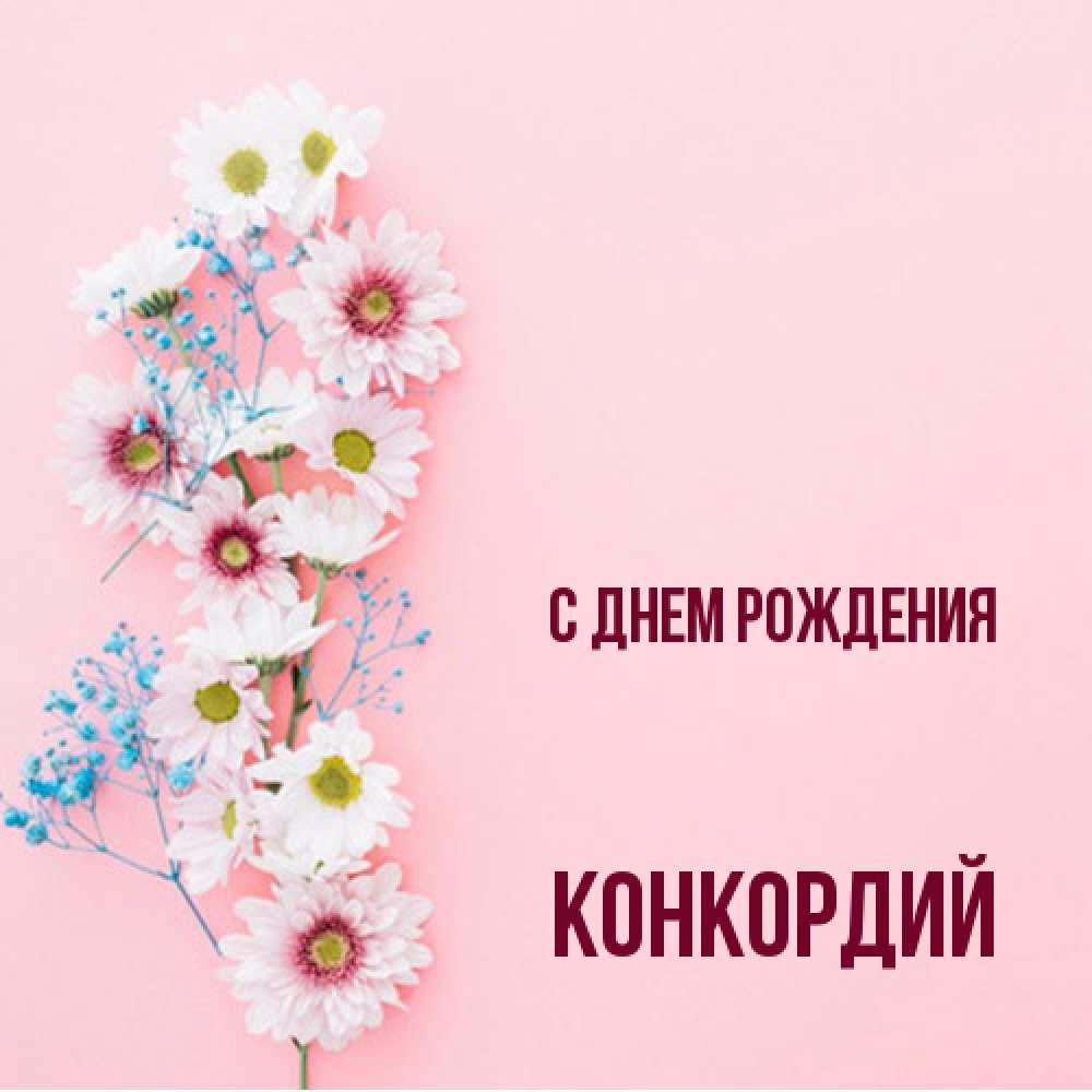 Открытка на каждый день с именем, Конкордий С днем рождения Родная моя с днем рождения тебя картинка с цветами белыми и голубыми Прикольная открытка с пожеланием онлайн скачать бесплатно 