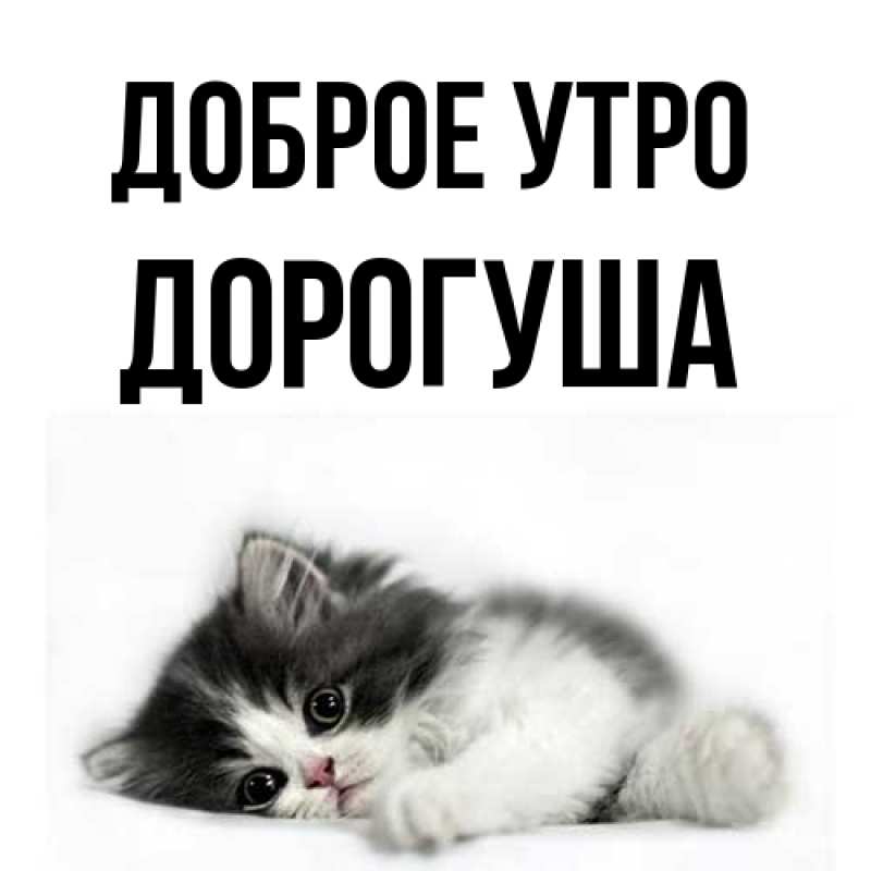 Картинка Доброе утро, дорогуша