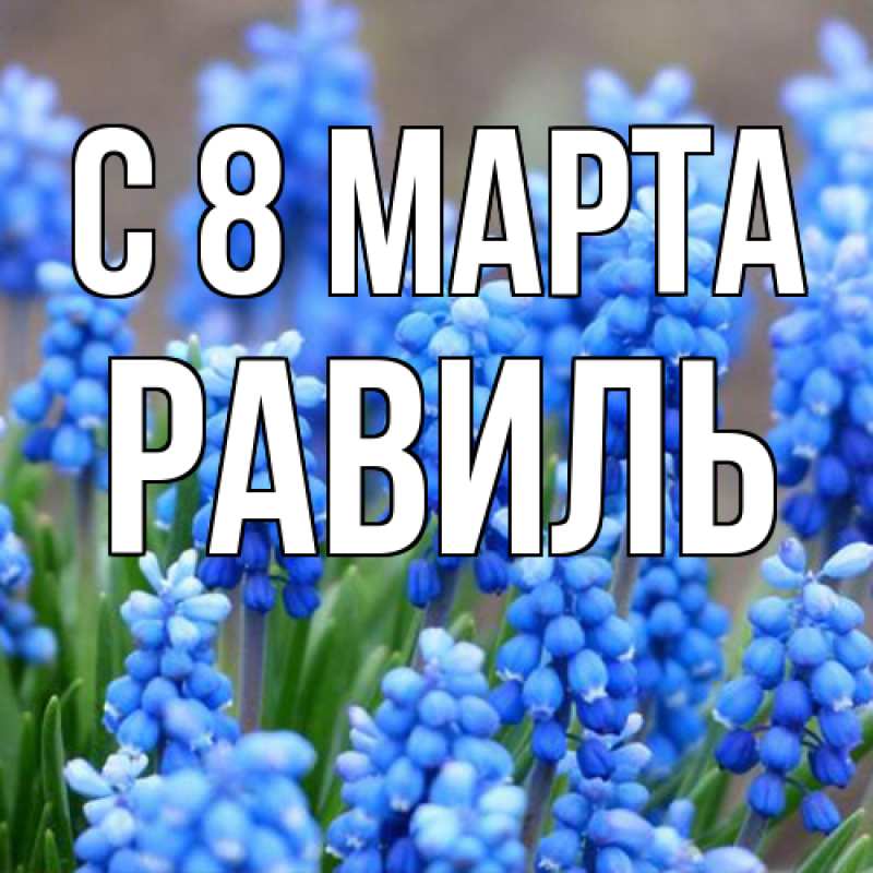 Картинка C 8 МАРТА, Равиль