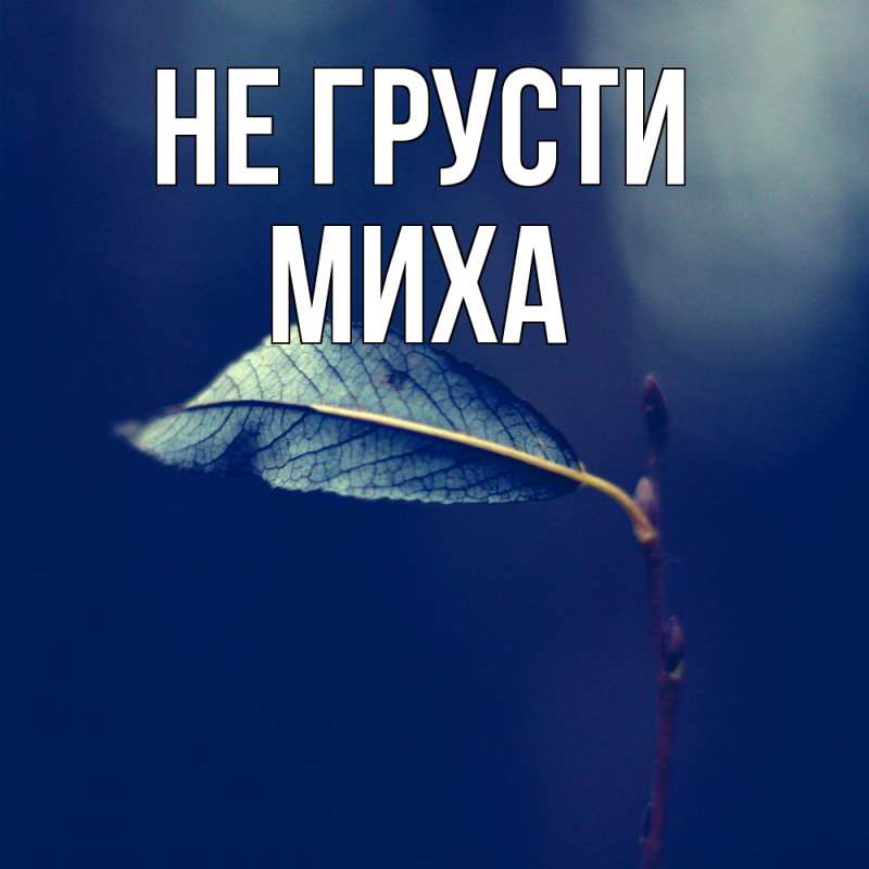 Картинка Не грусти, Миха