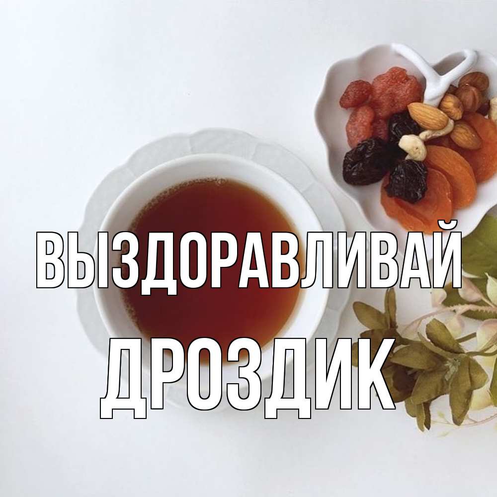 Открытка на каждый день с именем, Дроздик Выздоравливай неизвестные растения Прикольная открытка с пожеланием онлайн скачать бесплатно 