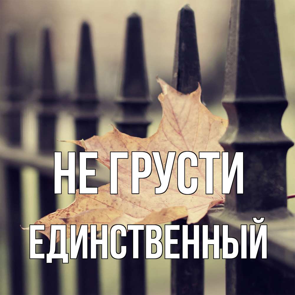 Открытка на каждый день с именем, Единственный Не грусти лист клена Прикольная открытка с пожеланием онлайн скачать бесплатно 