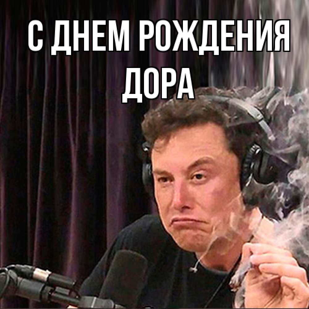 Открытка на каждый день с именем, Дора С днем рождения МЕМ Прикольная открытка с пожеланием онлайн скачать бесплатно 