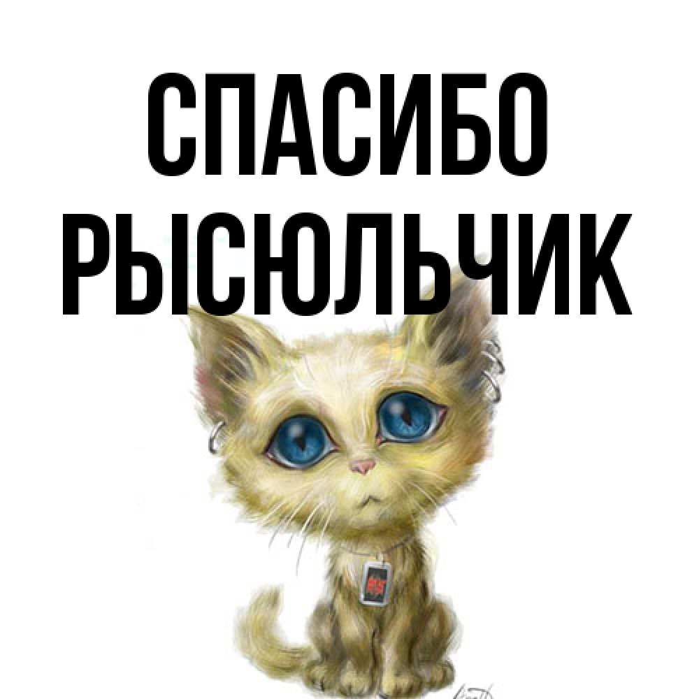 Открытка на каждый день с именем, Рысюльчик Спасибо рисованный кот благодарит вас Прикольная открытка с пожеланием онлайн скачать бесплатно 