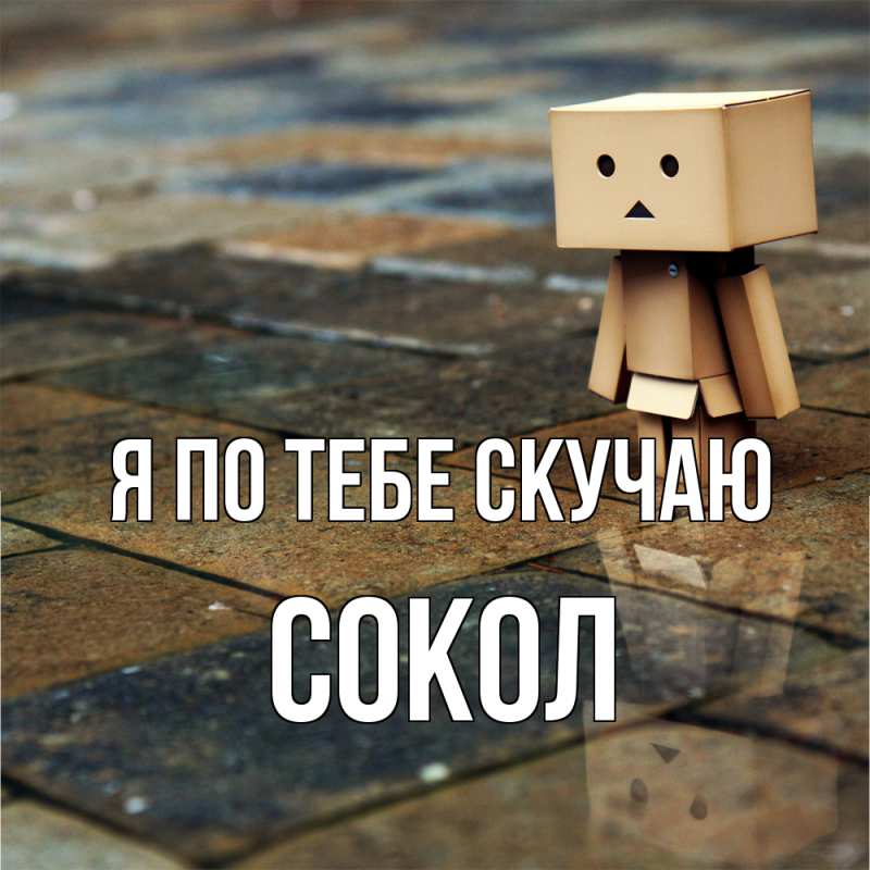 Картинка Я по тебе скучаю, Сокол