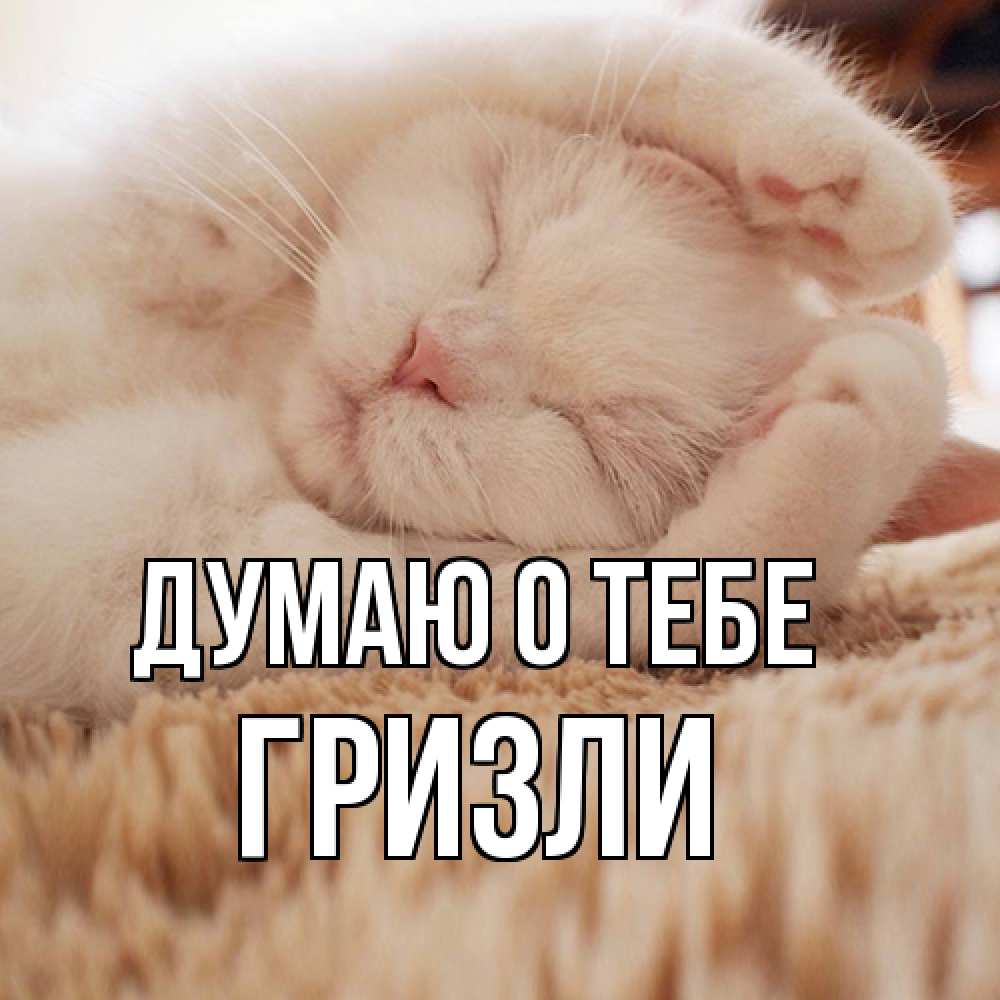 Открытка на каждый день с именем, Гризли Думаю о тебе для любимой девушки милота Прикольная открытка с пожеланием онлайн скачать бесплатно 