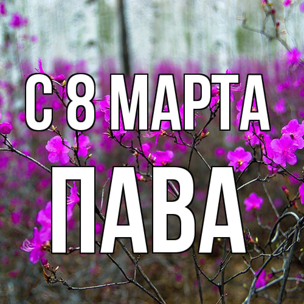 Открытка на каждый день с именем, пава C 8 МАРТА дикие цветы Прикольная открытка с пожеланием онлайн скачать бесплатно 