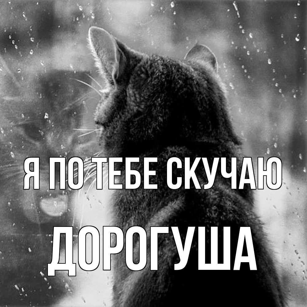 Открытка на каждый день с именем, дорогуша Я по тебе скучаю скорее ко мне приходи 1 Прикольная открытка с пожеланием онлайн скачать бесплатно 