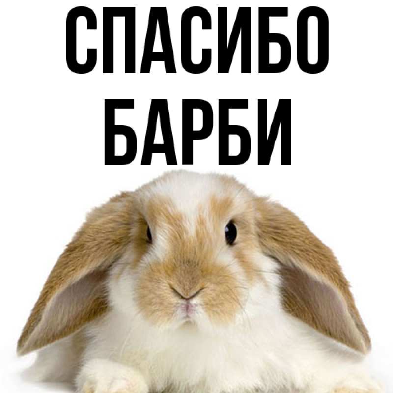 Картинка Спасибо, Барби