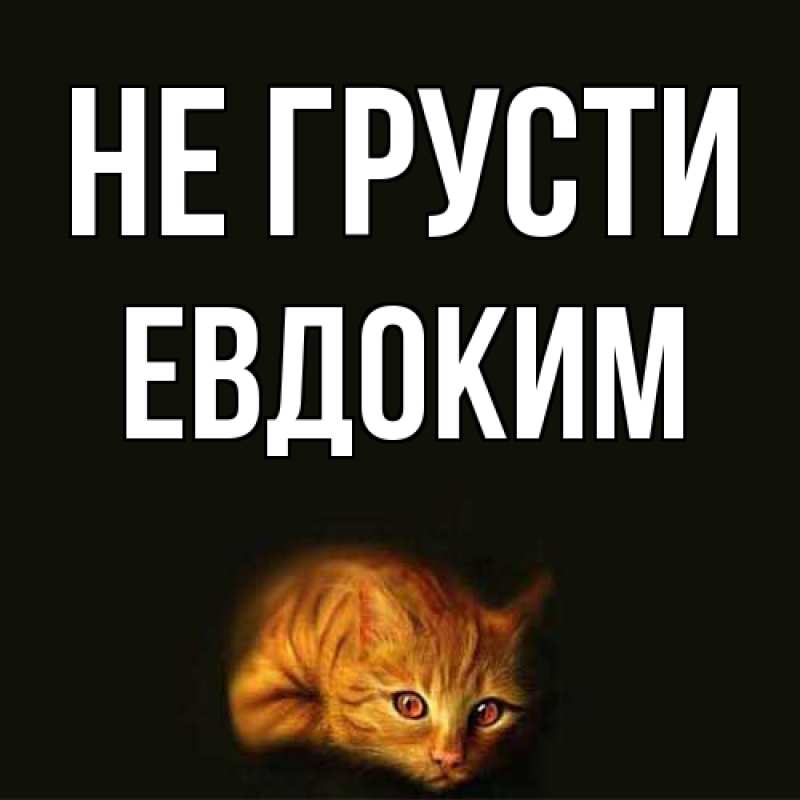 Картинка Не грусти, Евдоким