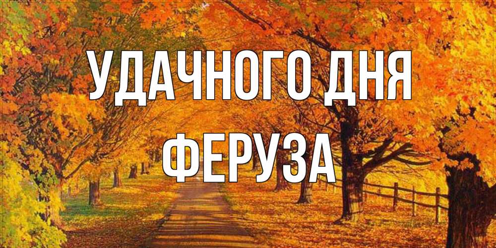Открытка на каждый день с именем, Феруза Удачного дня деревья с осенними листьями Прикольная открытка с пожеланием онлайн скачать бесплатно 