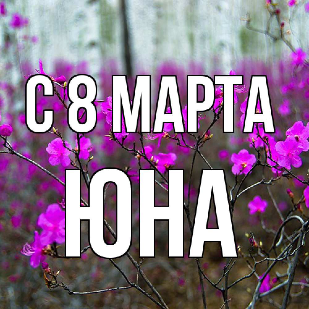 Открытка на каждый день с именем, Юна C 8 МАРТА дикие цветы Прикольная открытка с пожеланием онлайн скачать бесплатно 