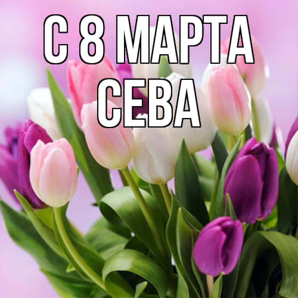 Открытка на каждый день с именем, Сева C 8 МАРТА весна март Прикольная открытка с пожеланием онлайн скачать бесплатно 