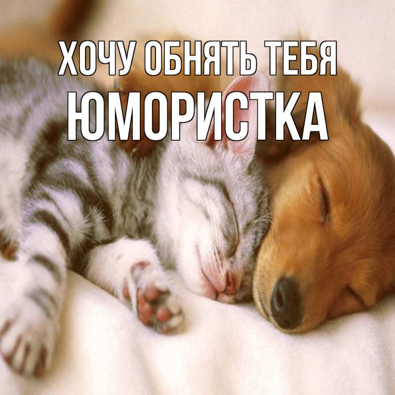 Картинка Хочу обнять тебя, Юмористка