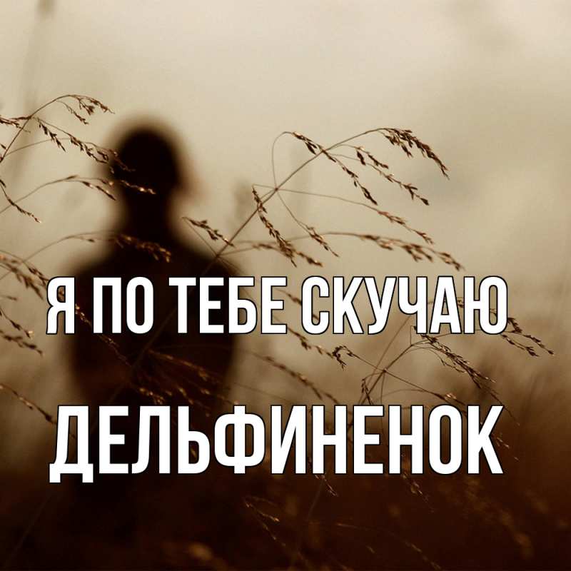 Картинка Я по тебе скучаю, дельфиненок