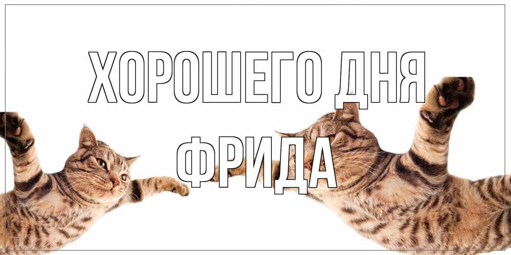 Открытка на каждый день с именем, Фрида Хорошего дня хорошего дня Прикольная открытка с пожеланием онлайн скачать бесплатно 