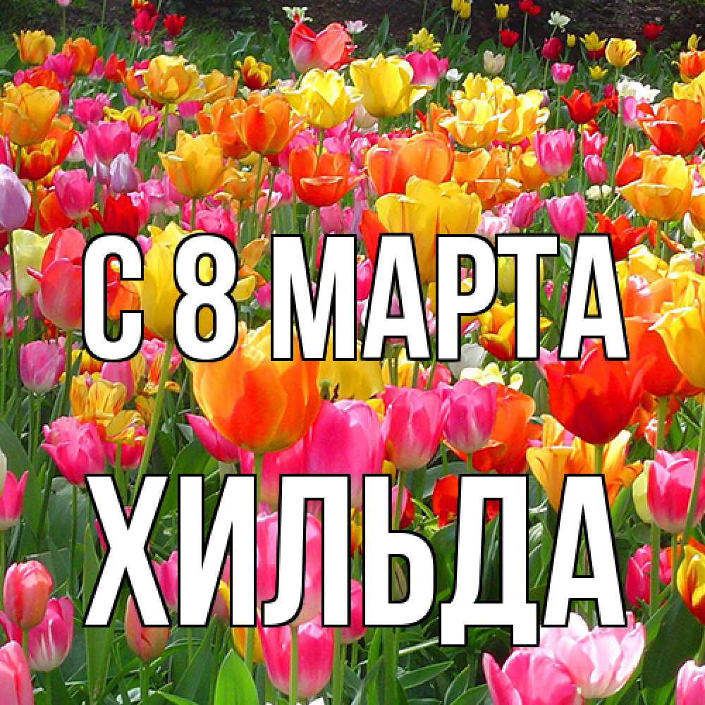 Открытка на каждый день с именем, Хильда C 8 МАРТА на международный женский день Прикольная открытка с пожеланием онлайн скачать бесплатно 