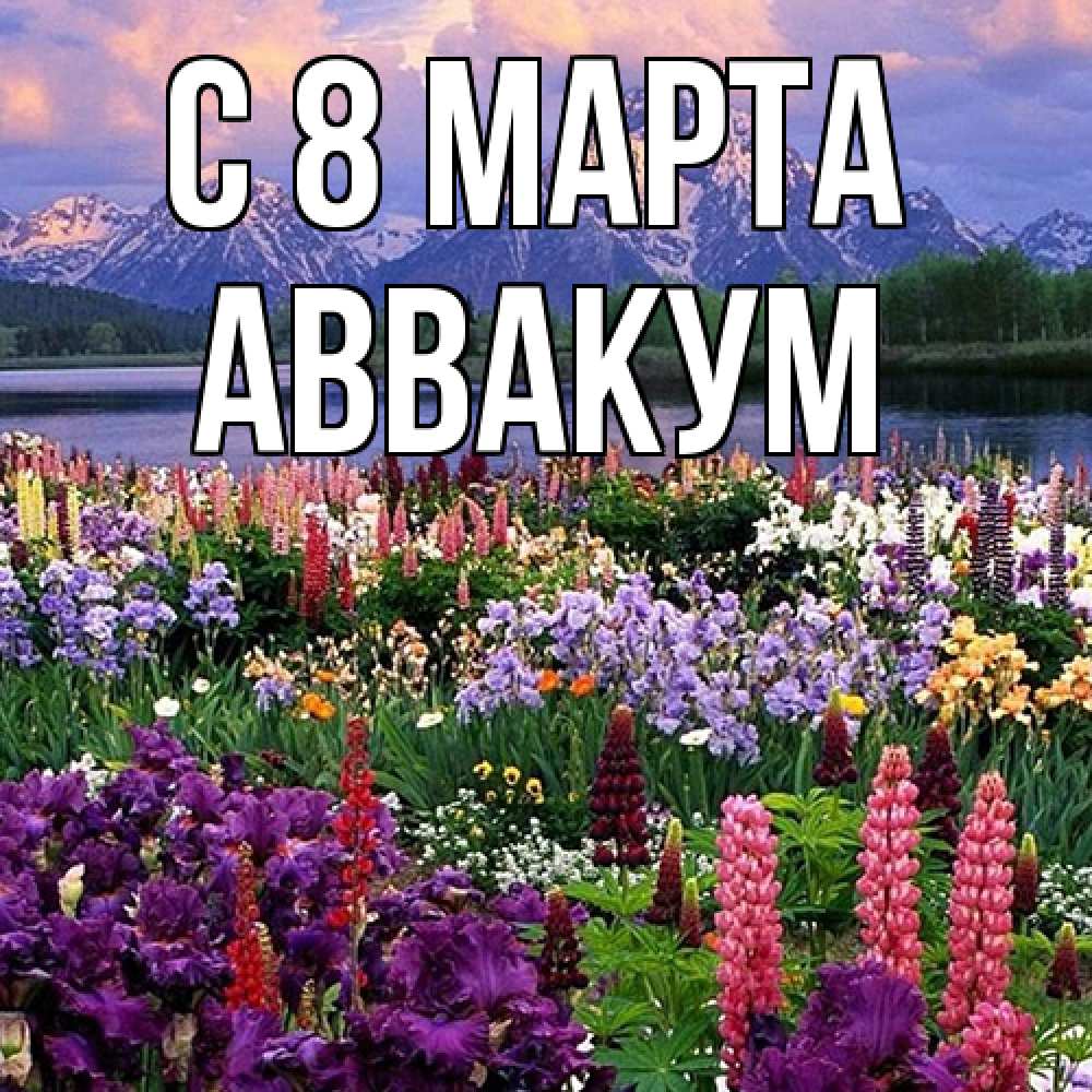 Открытка на каждый день с именем, Аввакум C 8 МАРТА международный женский день Прикольная открытка с пожеланием онлайн скачать бесплатно 