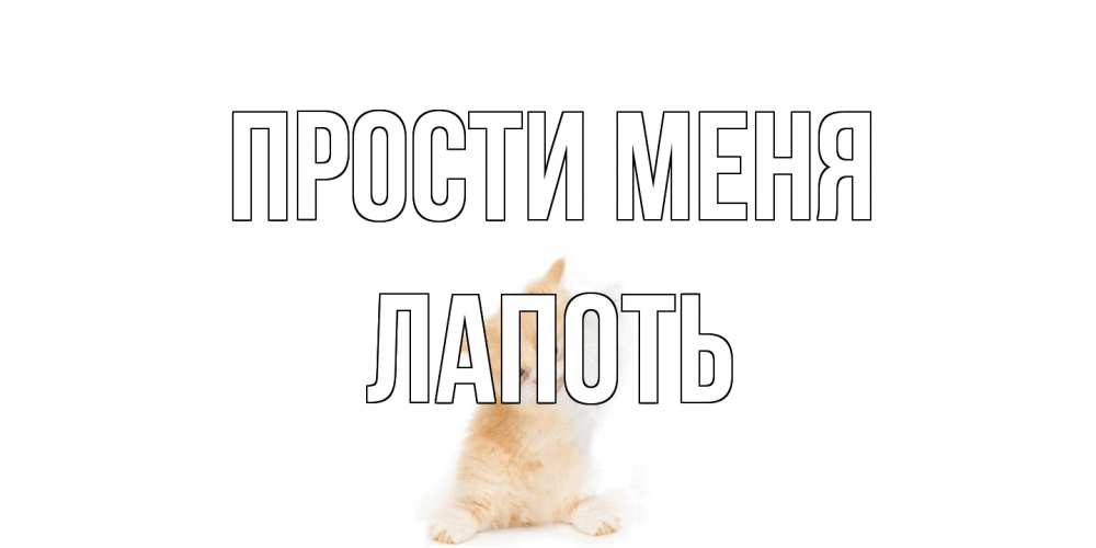 Открытка на каждый день с именем, Лапоть Прости меня кот Прикольная открытка с пожеланием онлайн скачать бесплатно 