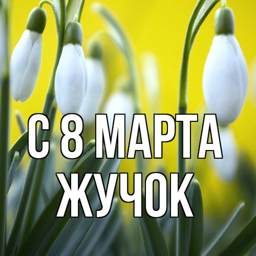 Открытка на каждый день с именем, жучок C 8 МАРТА весенние цветы Прикольная открытка с пожеланием онлайн скачать бесплатно 