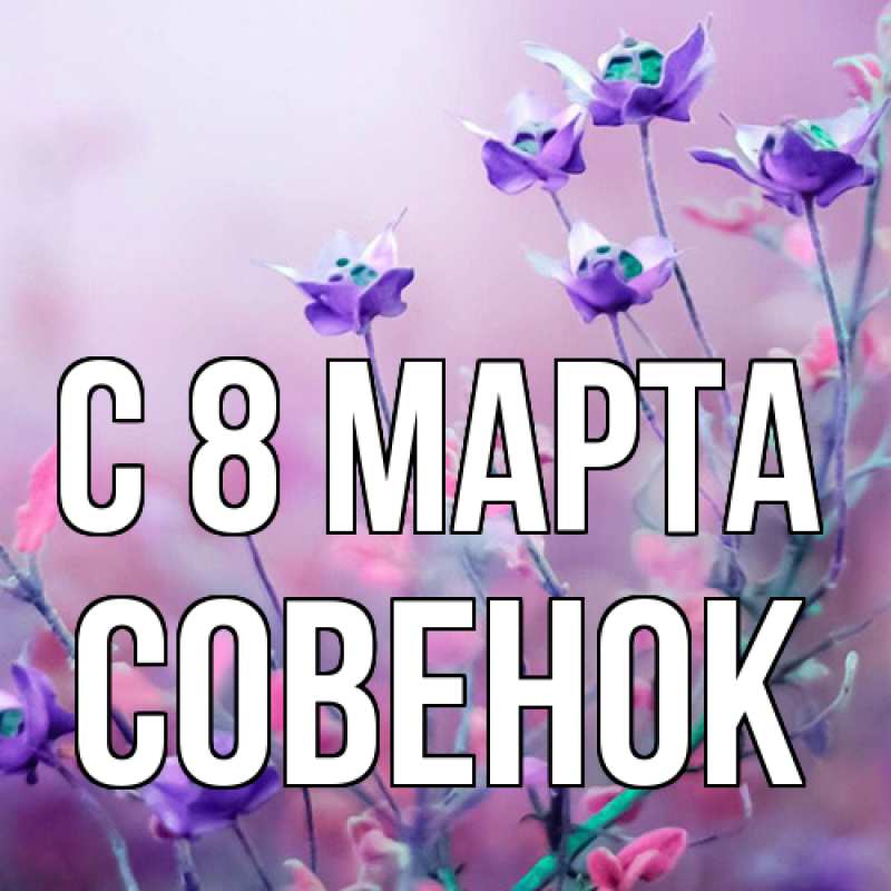 Картинка C 8 МАРТА, совенок