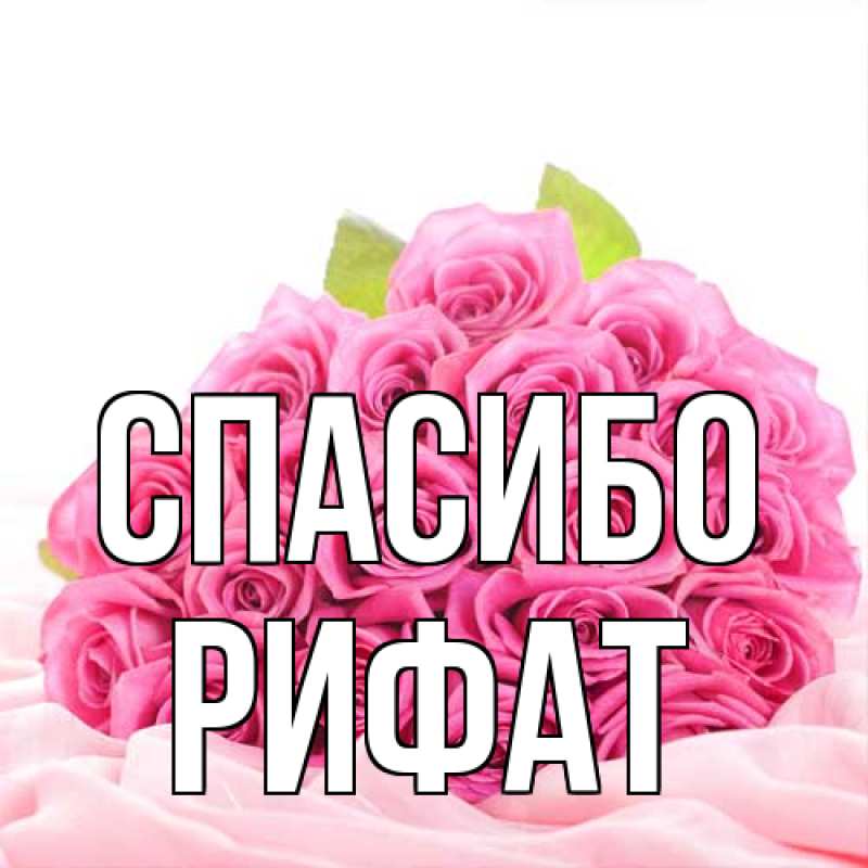 Картинка Спасибо, Рифат