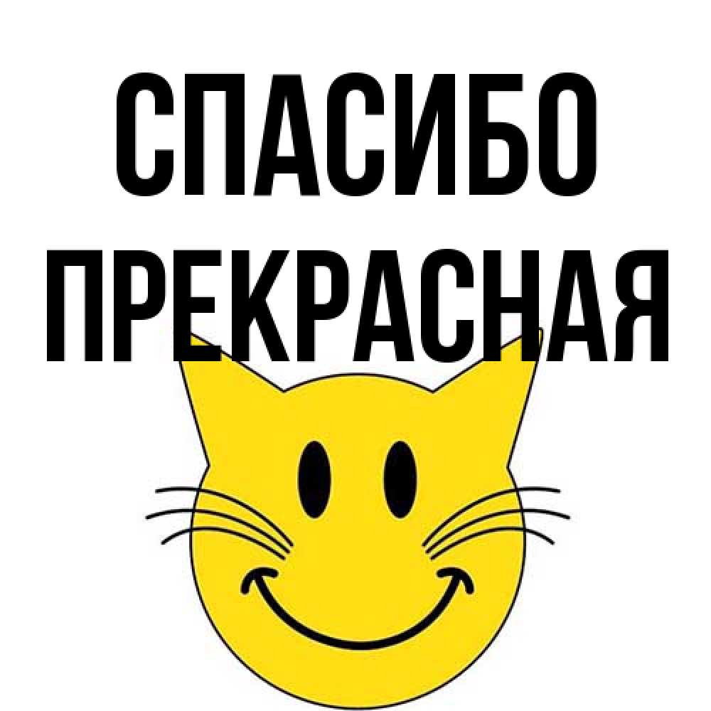 Открытка на каждый день с именем, Пpекpасная Спасибо улыбающийся смайл кот Прикольная открытка с пожеланием онлайн скачать бесплатно 