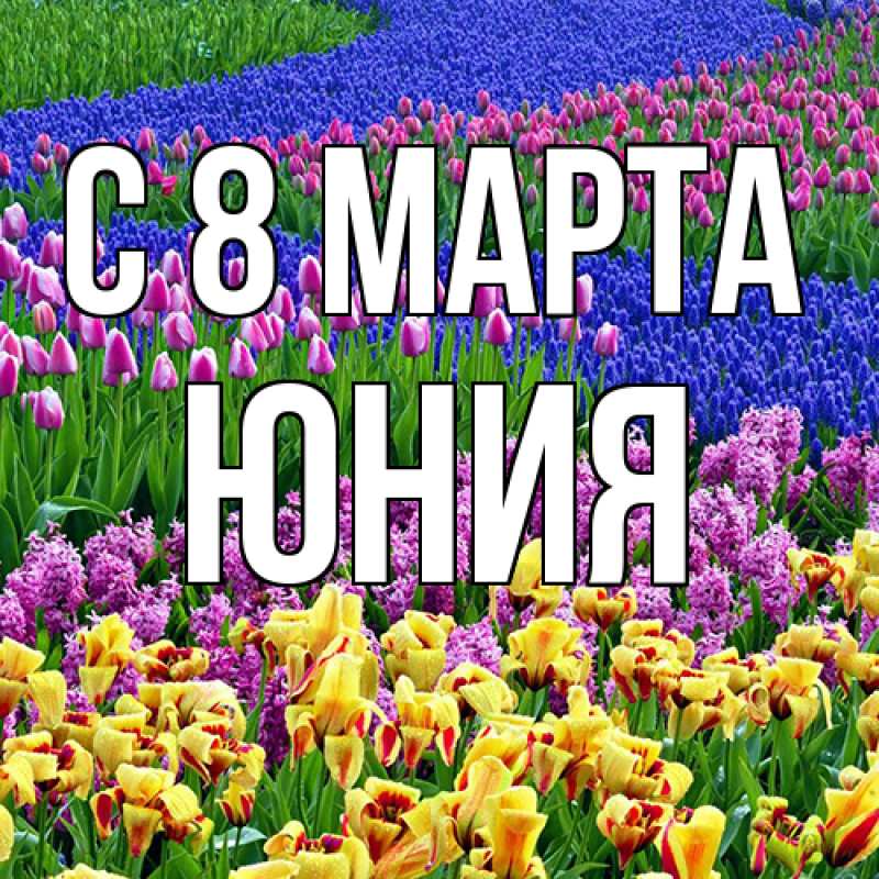 Картинка C 8 МАРТА, Юния
