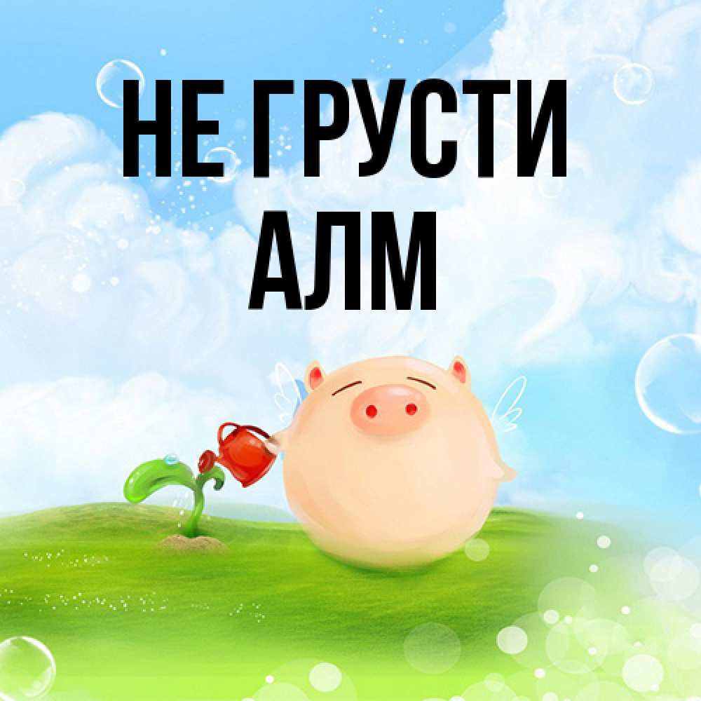 Открытка на каждый день с именем, Алм Не грусти поливает цветок порося Прикольная открытка с пожеланием онлайн скачать бесплатно 