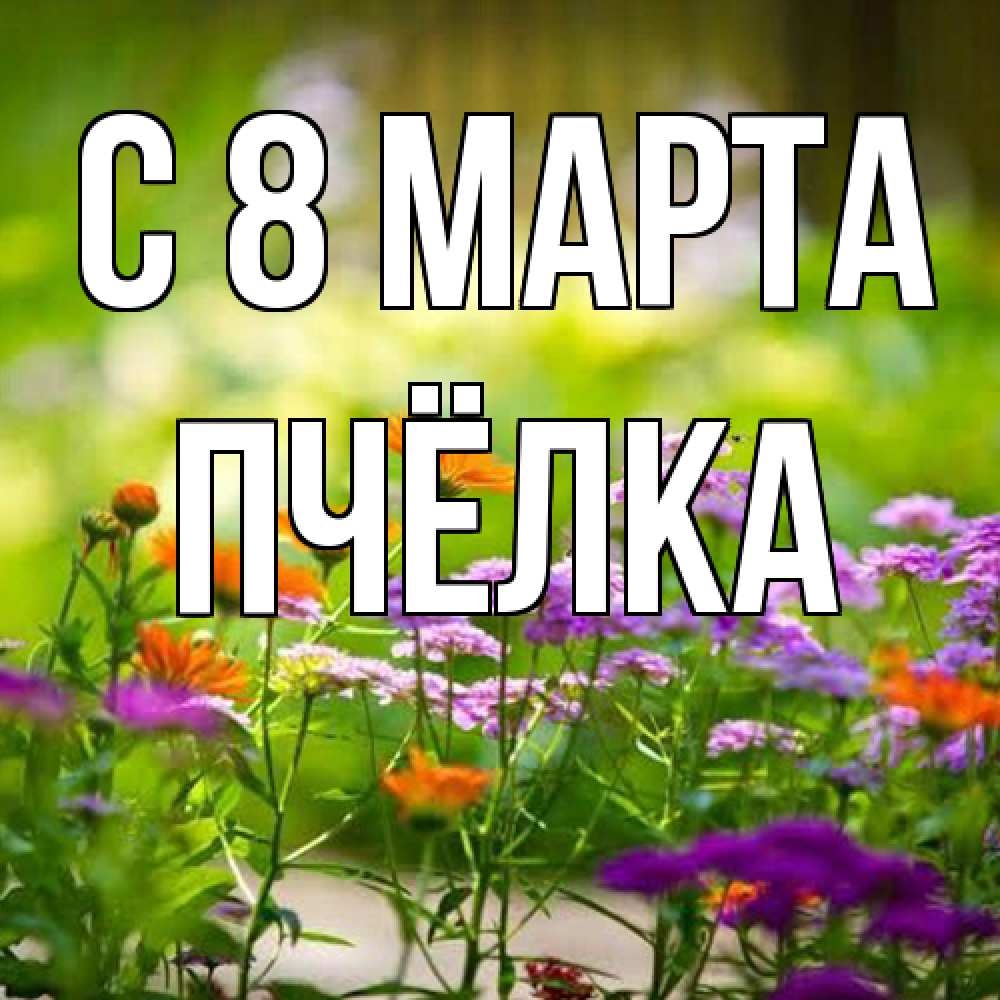 Открытка на каждый день с именем, Пчёлка C 8 МАРТА цветы Прикольная открытка с пожеланием онлайн скачать бесплатно 