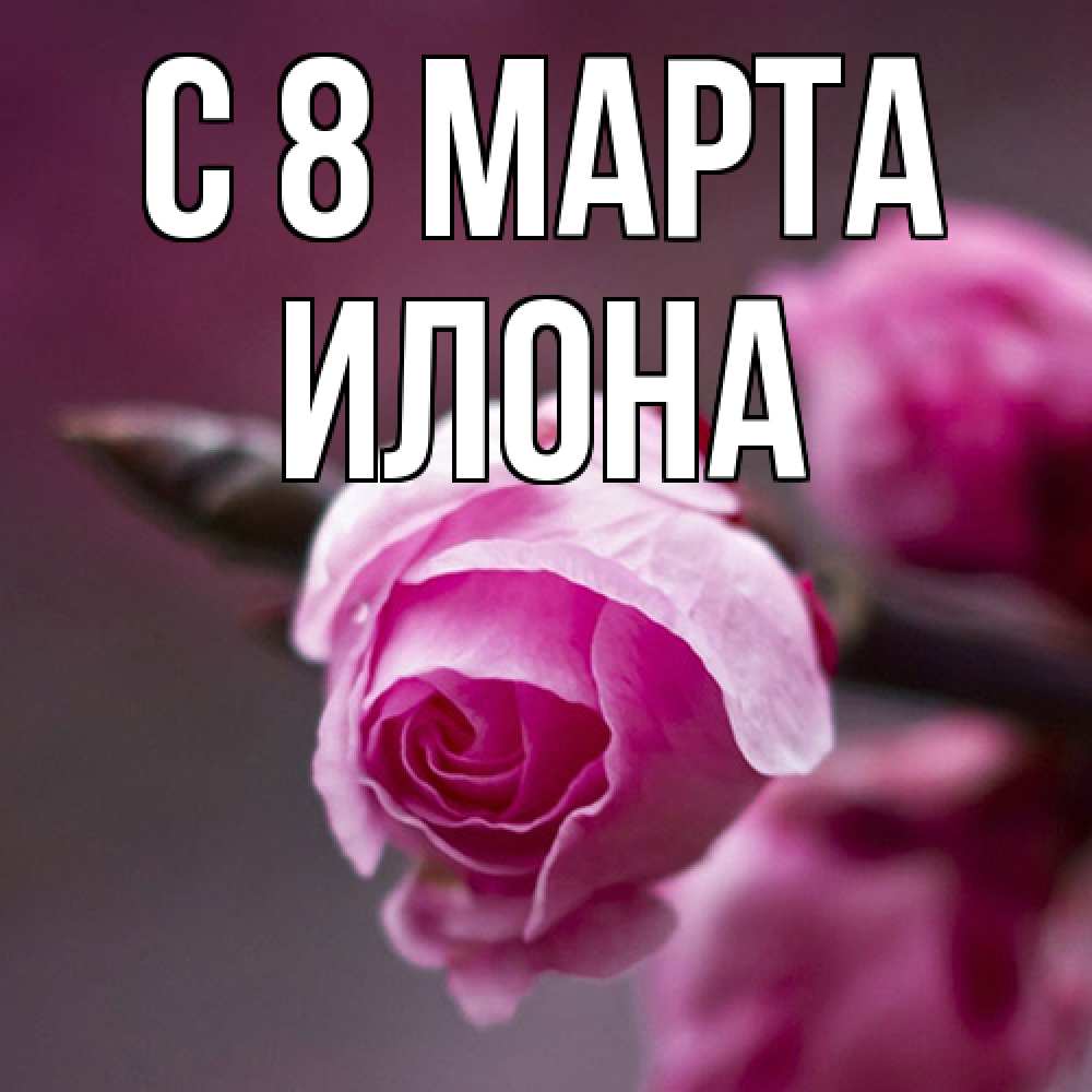 Открытка на каждый день с именем, Илона C 8 МАРТА весна Прикольная открытка с пожеланием онлайн скачать бесплатно 