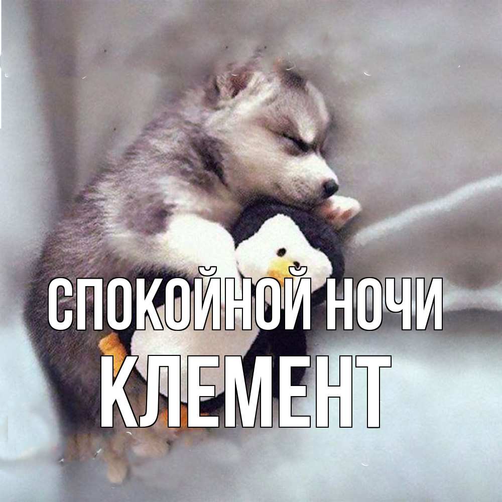 Открытка на каждый день с именем, Клемент Спокойной ночи обнимашки щенка и пингвина Прикольная открытка с пожеланием онлайн скачать бесплатно 
