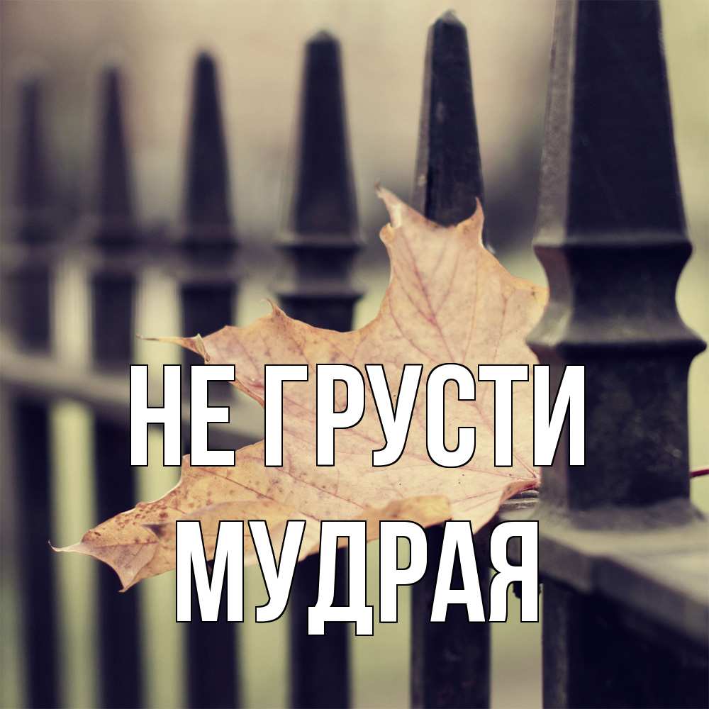 Открытка на каждый день с именем, Мудpая Не грусти лист клена Прикольная открытка с пожеланием онлайн скачать бесплатно 