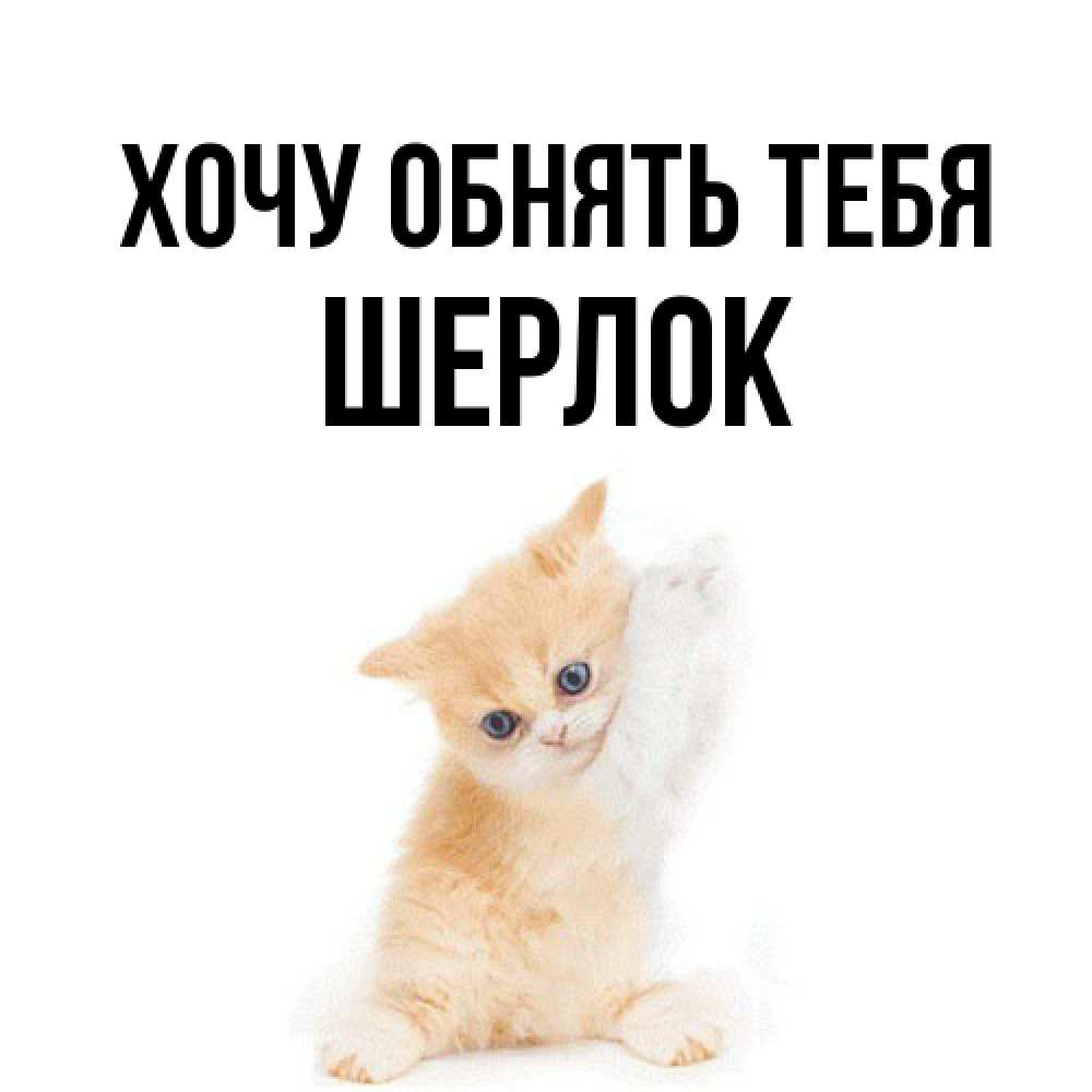 Открытка на каждый день с именем, Шерлок Хочу обнять тебя я хочу очень скорее обнимаешек Прикольная открытка с пожеланием онлайн скачать бесплатно 
