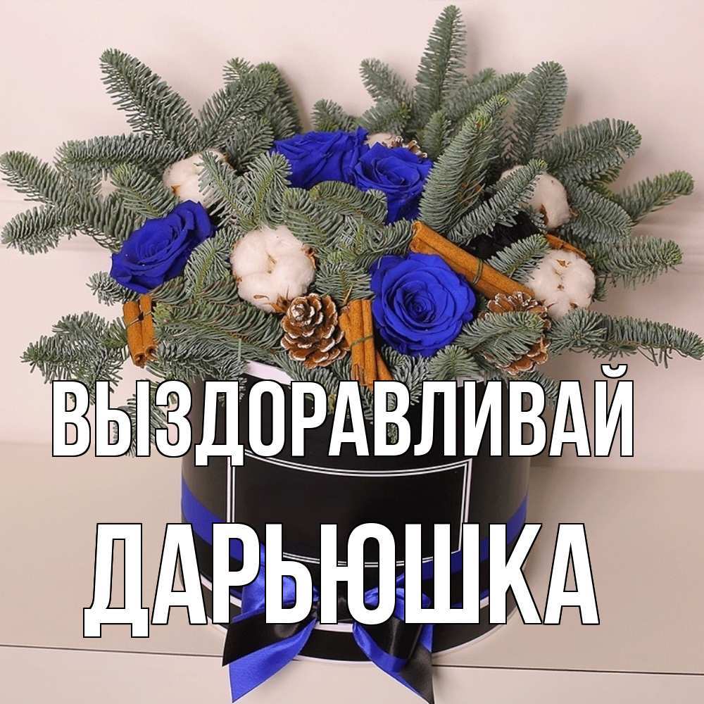 Открытка на каждый день с именем, Дарьюшка Выздоравливай короче кто то загрузил эти шишки Прикольная открытка с пожеланием онлайн скачать бесплатно 