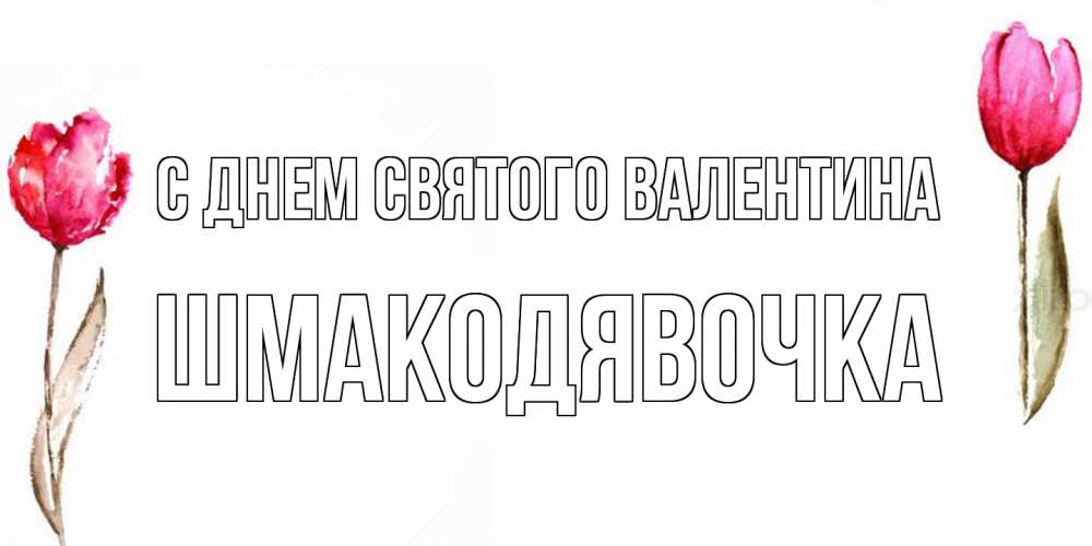 Открытка на каждый день с именем, шмакодявочка С днем Святого Валентина Открытки на день всех влюбленных с тюльпанами акварелью Прикольная открытка с пожеланием онлайн скачать бесплатно 