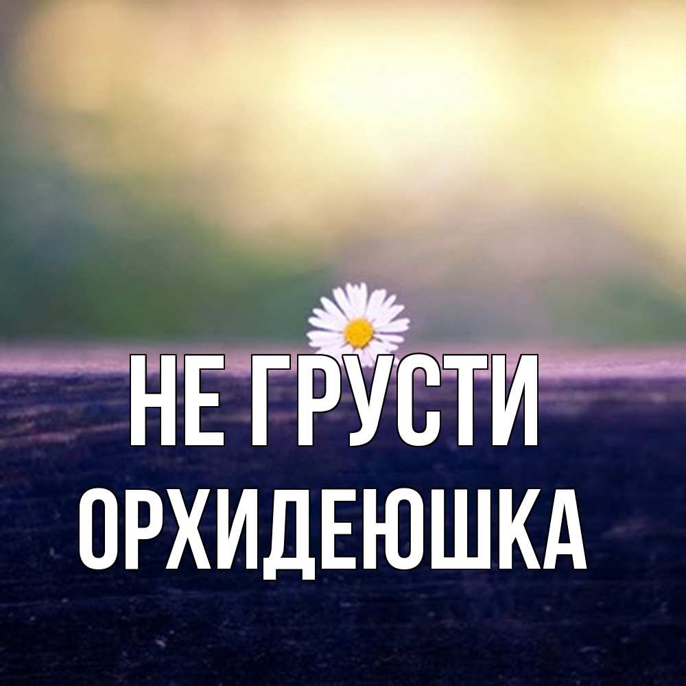 Открытка на каждый день с именем, Орхидеюшка Не грусти красота Прикольная открытка с пожеланием онлайн скачать бесплатно 