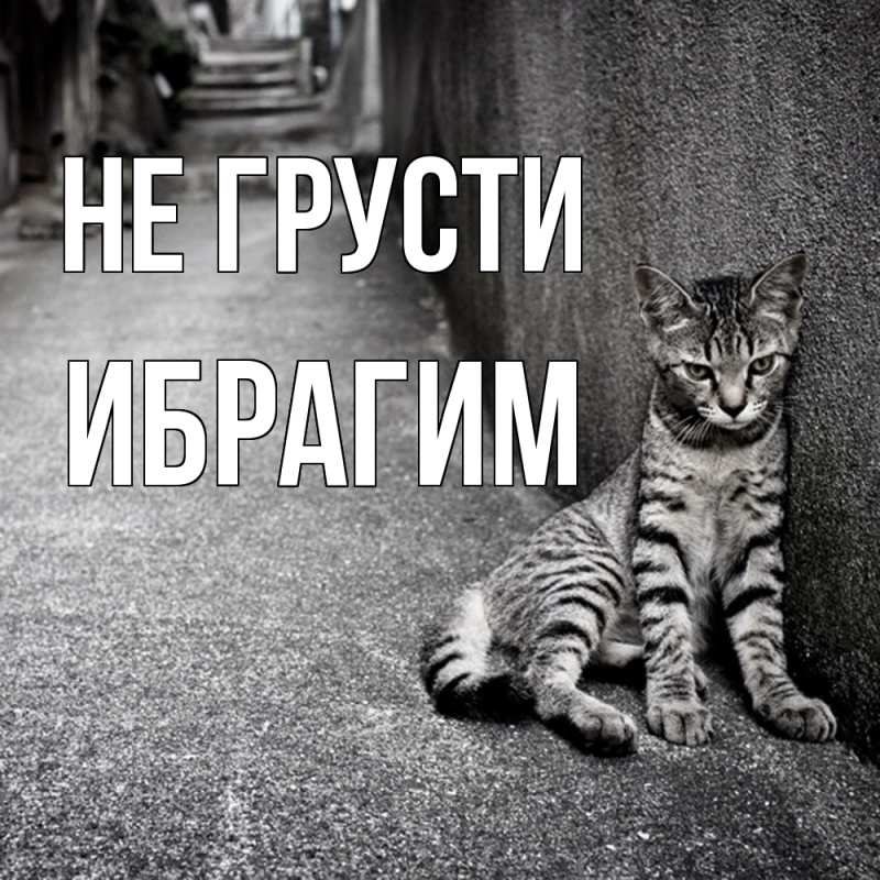 Картинка Не грусти, Ибрагим