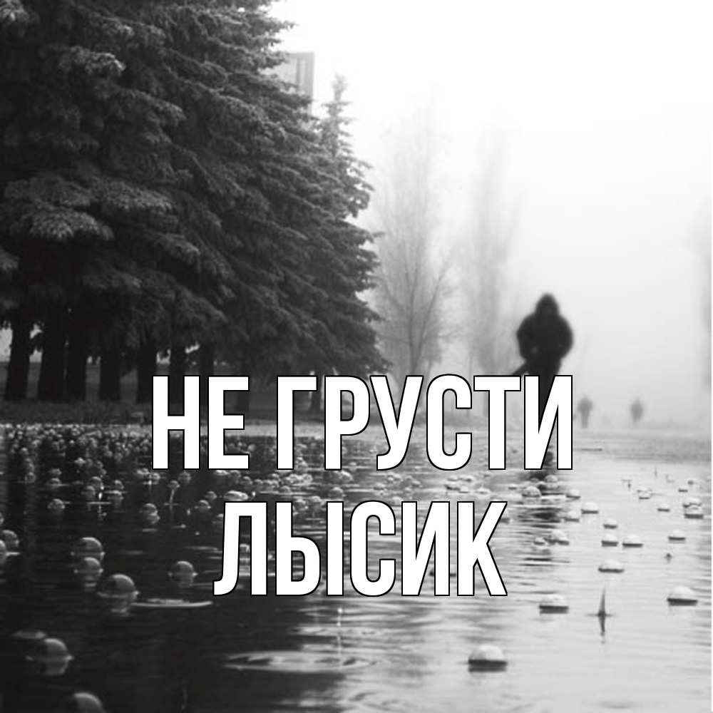 Открытка на каждый день с именем, Лысик Не грусти улица под дождем Прикольная открытка с пожеланием онлайн скачать бесплатно 