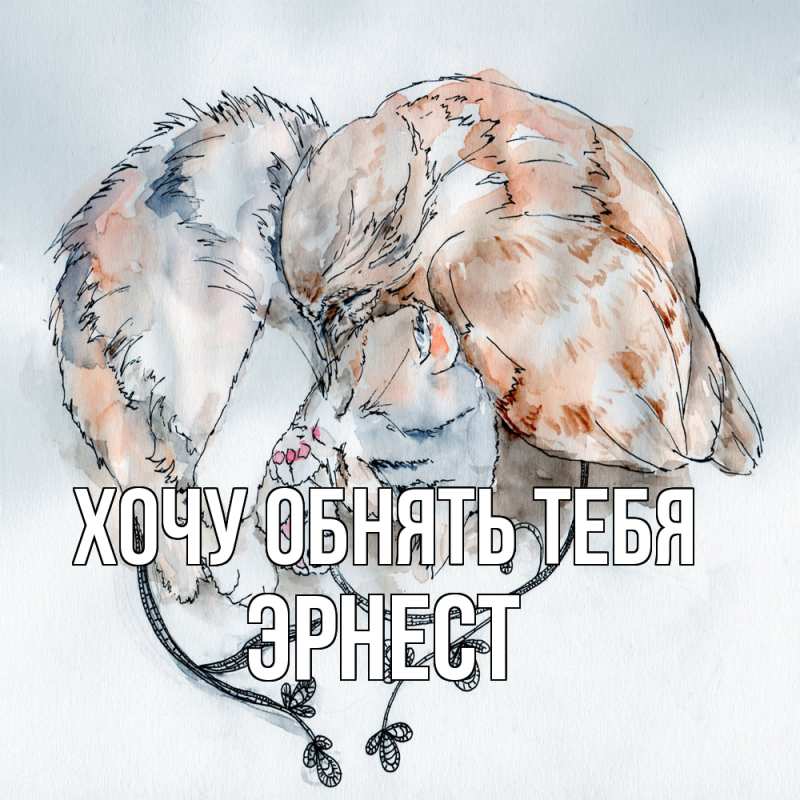 Картинка Хочу обнять тебя, Эрнест