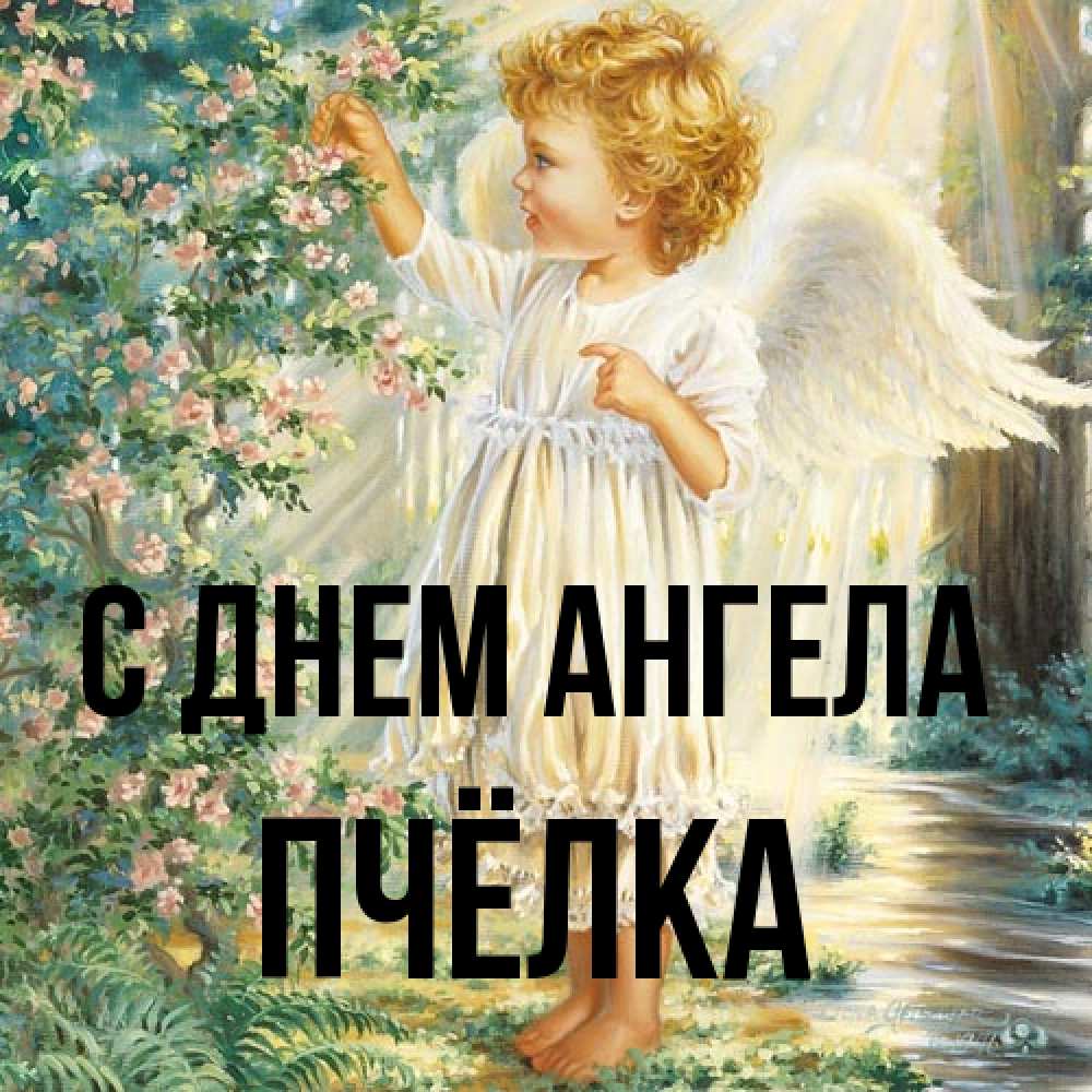 Открытка на каждый день с именем, Пчёлка С днем ангела собирает цветы Прикольная открытка с пожеланием онлайн скачать бесплатно 