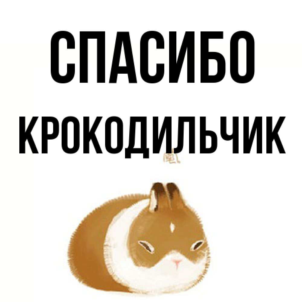 Открытка на каждый день с именем, Крокодильчик Спасибо коричнево белый домашний питомец Прикольная открытка с пожеланием онлайн скачать бесплатно 
