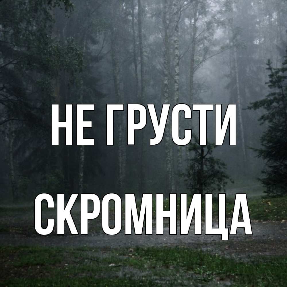 Открытка на каждый день с именем, Скромница Не грусти осень Прикольная открытка с пожеланием онлайн скачать бесплатно 