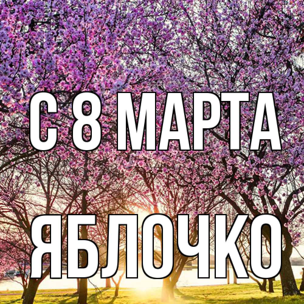 Открытка на каждый день с именем, яблочко C 8 МАРТА международный женский день Прикольная открытка с пожеланием онлайн скачать бесплатно 