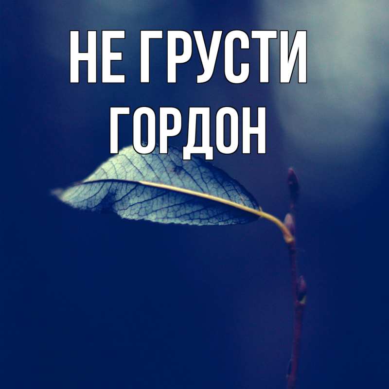Картинка Не грусти, Гордон