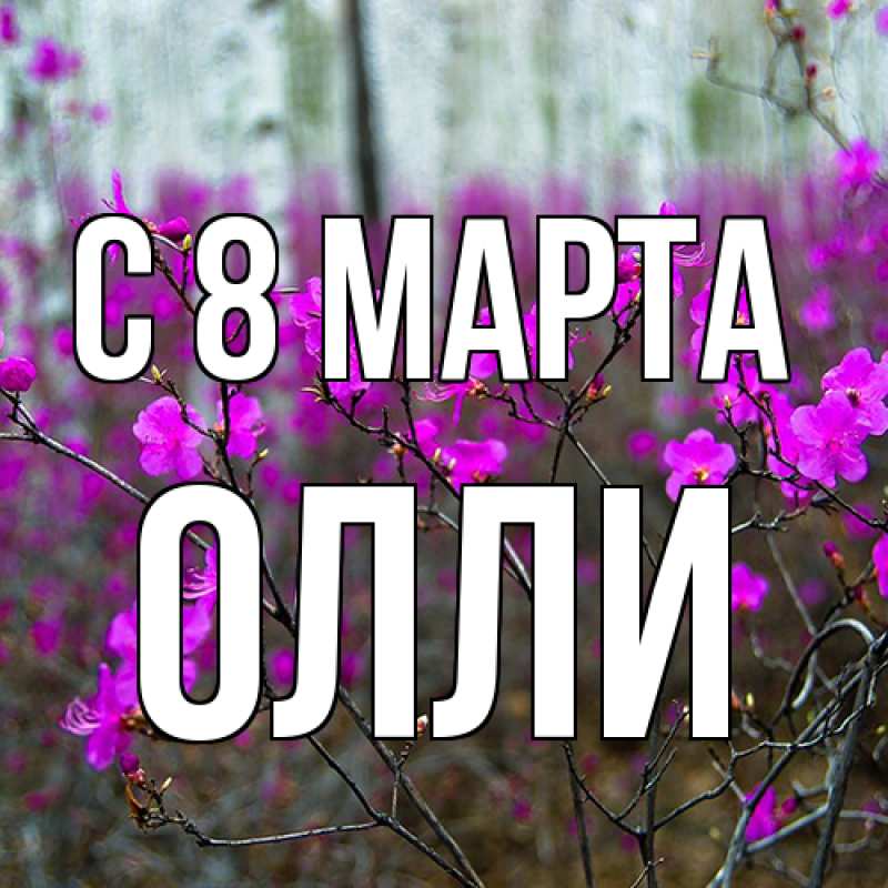 Картинка C 8 МАРТА, Олли